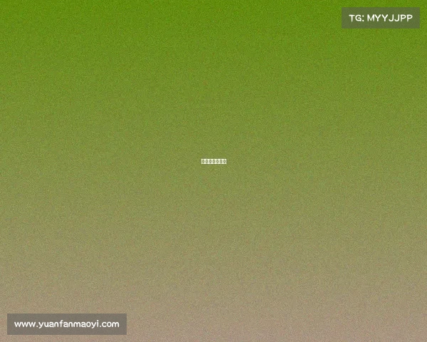 南宁电竞训练营